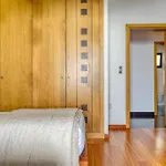 Apartment Oasis Do Sol, A In Madeira Ponta do Sol (Madeira)